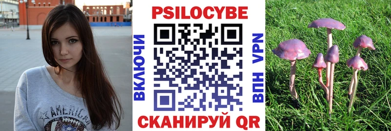 Галлюциногенные грибы Psilocybe  что такое   Суоярви 